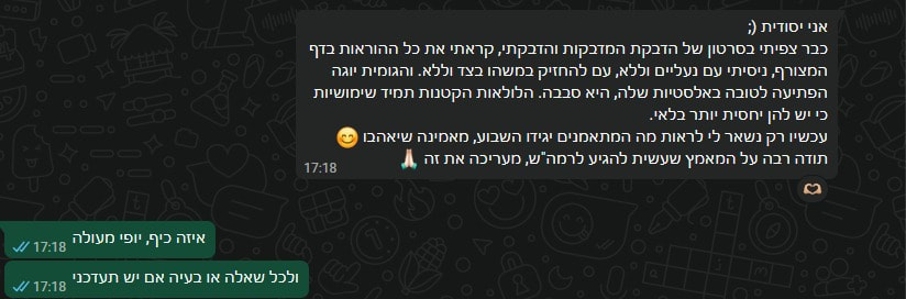 ביקורת לקוח 3