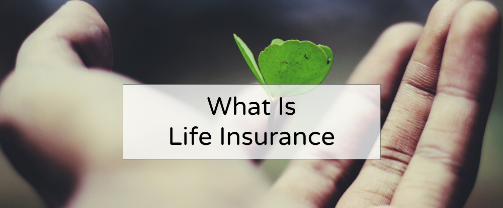 Life Insurance