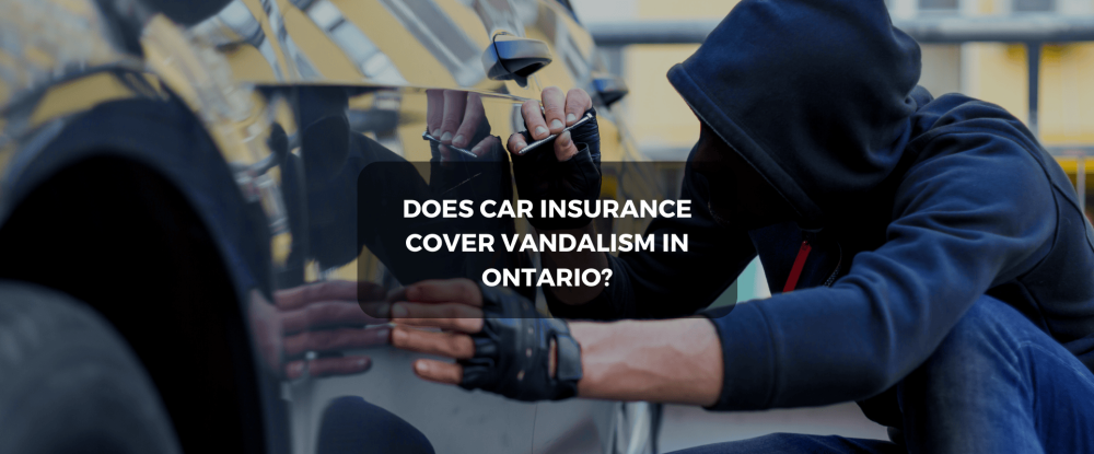 Car Insurance Cover Vandalism in Ontario