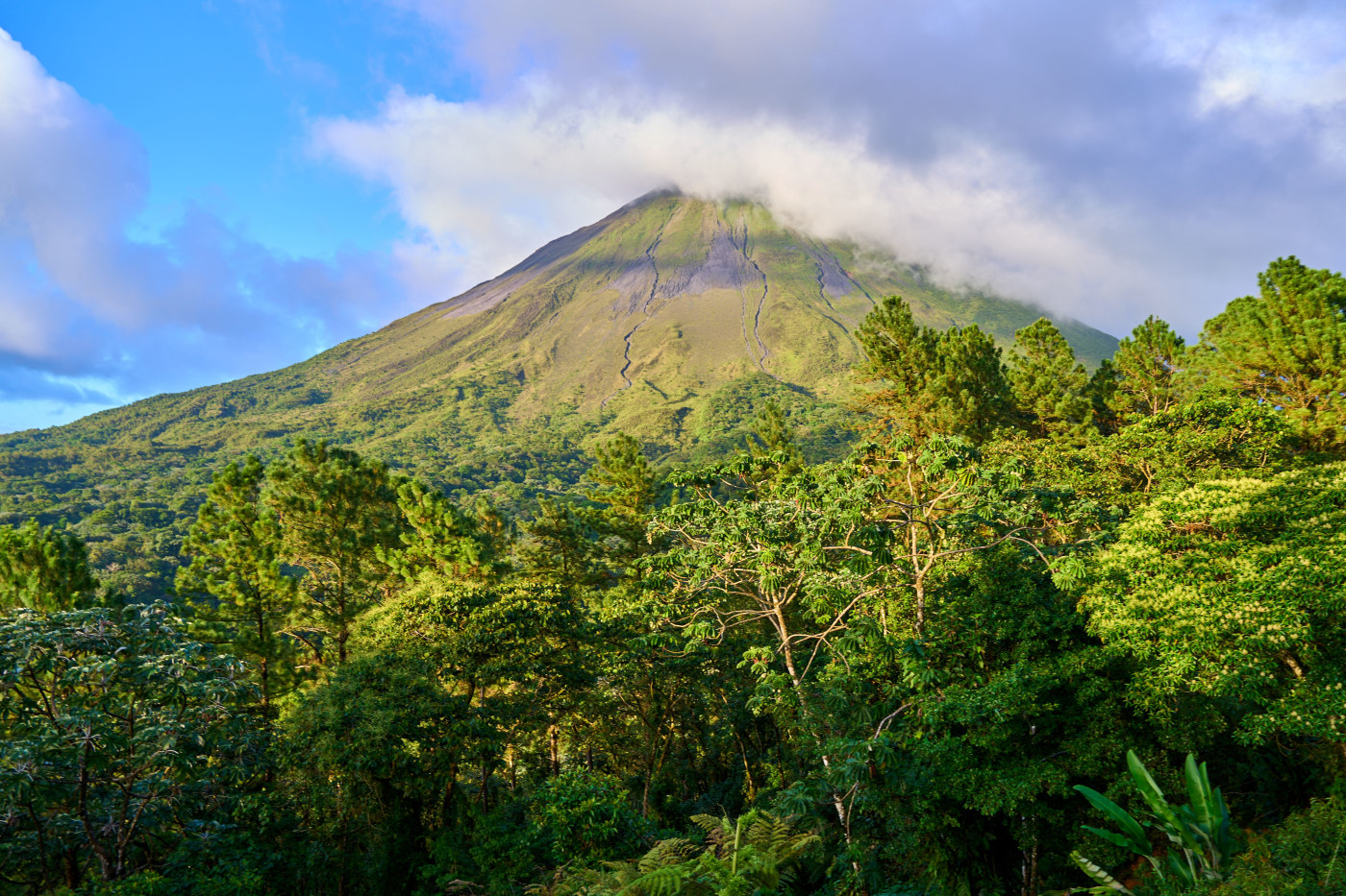 Costa Rica rainforest escape