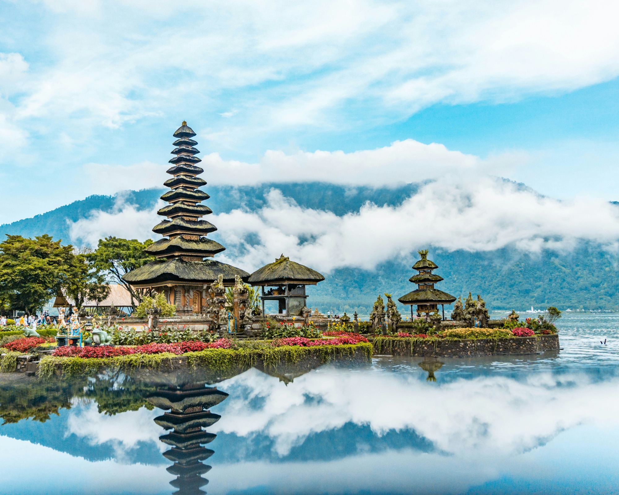 Bali jungle retreat and tropical landscape