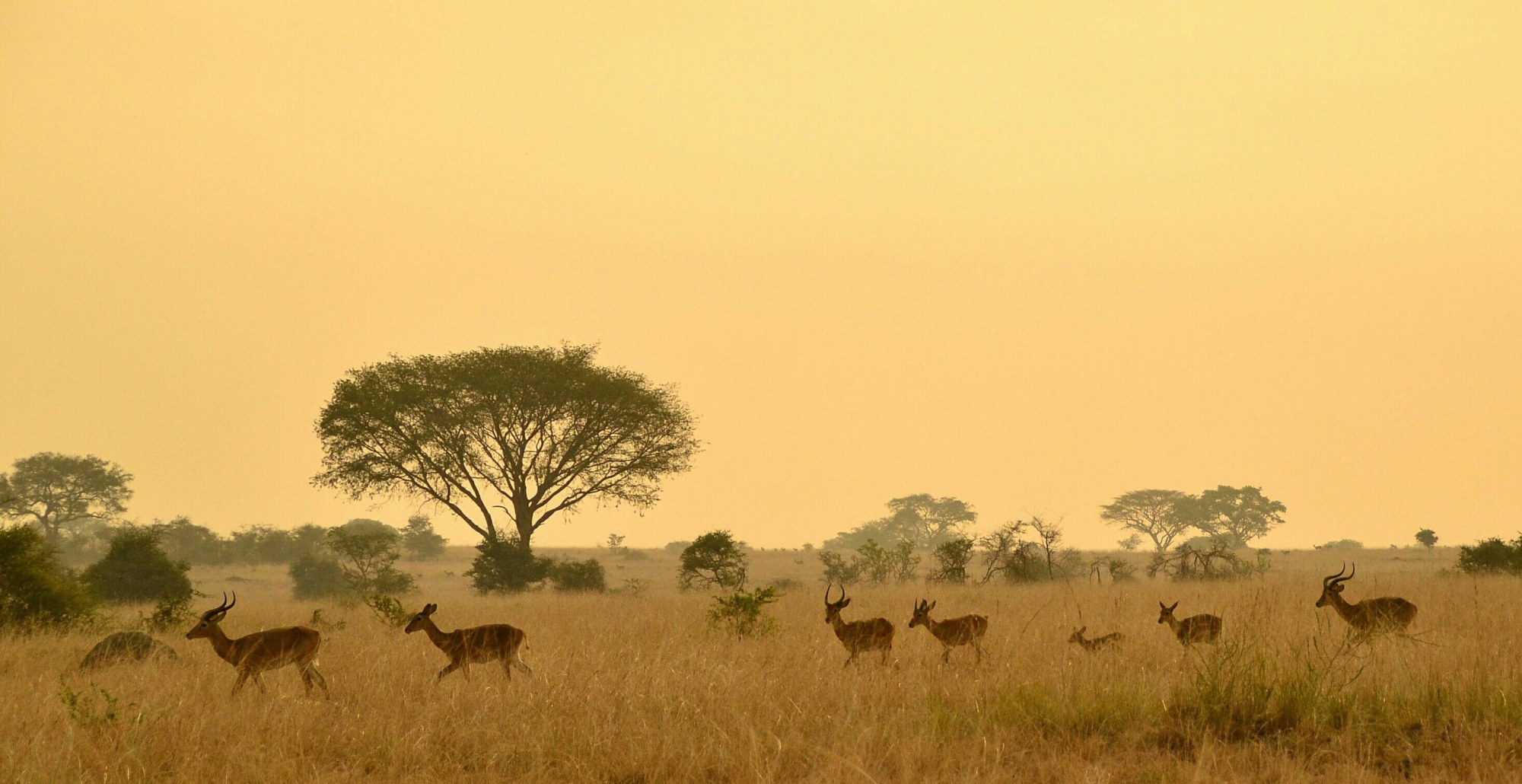 Africa refined travel escape