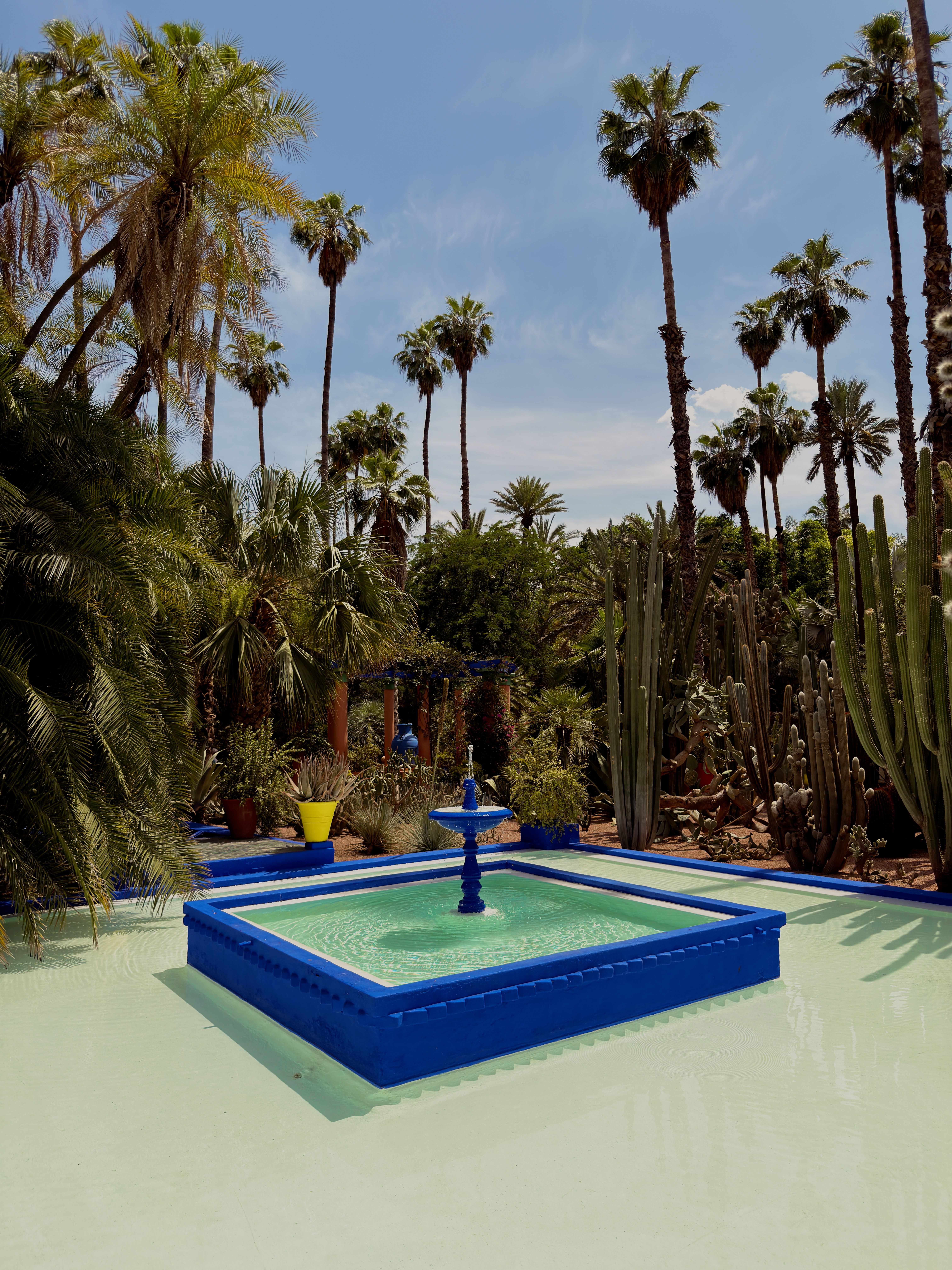 Aix-en-Provence and the international story behind Élite Origins Club
