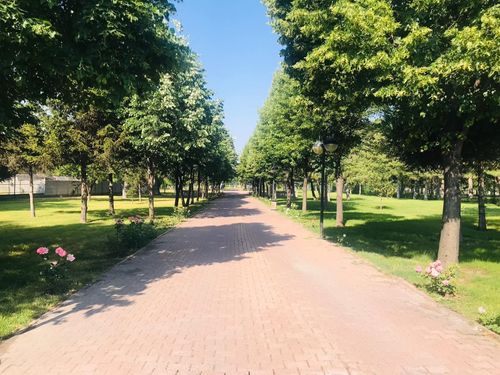 Özel Kayseri Huzurevi Ve Yaşlı Bakım Merkezi Müdürlüğü Huzurevi görünümü 1