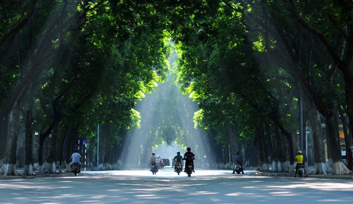 Quiet tree-lined streets near Văn Miếu in Hanoi