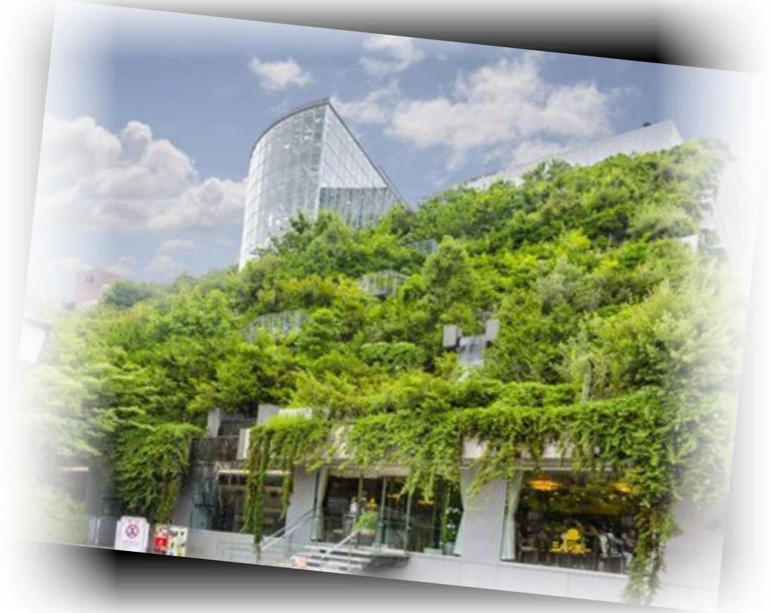 호텔_마이스테이_후쿠오카_텐진_미나미_주변_명소