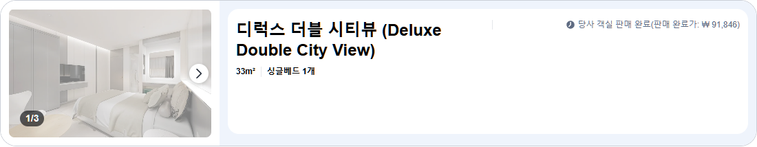 디럭스 더블 시티뷰 (Deluxe Double City View)