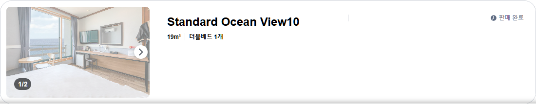 Deluxe Double Ocean View1