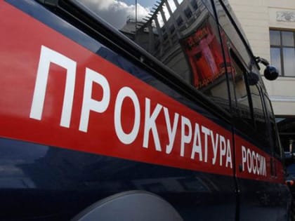 В Приамурье 17-летняя девушка погибла на пожаре