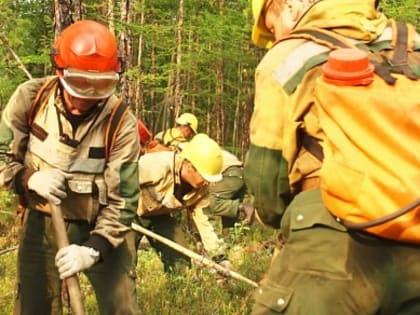 За минувшие сутки в Иркутской области ликвидировано три лесных пожара