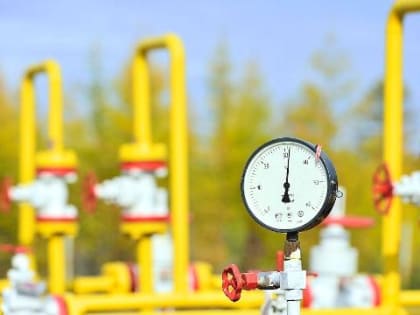 Путин поручил Кузбассу газифицировать резидентов ТОР и ОЭЗ до 2025 года