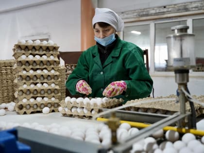 В Приангарье за первые четыре месяца 2024 года произвели 300 млн яиц
