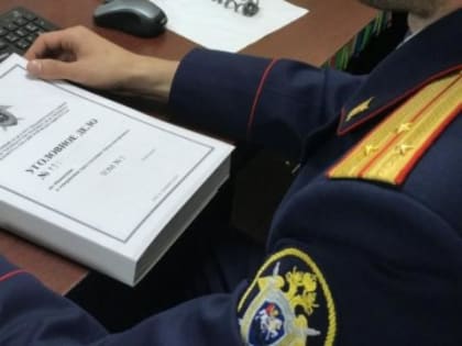 В Приморье задержали руководителя строительного проекта гольф-курорта