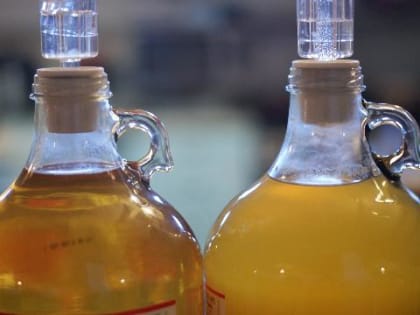 В Приморье облегчат продажу пива, сидра и медовухи