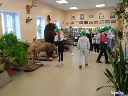Уголок природы посреди города