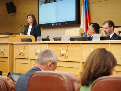 Анализ бюджета Иркутской области на 2025 год и последующие годы