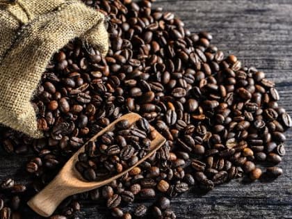 Красноярские ученые разрабатывают электронный дегустатор кофе