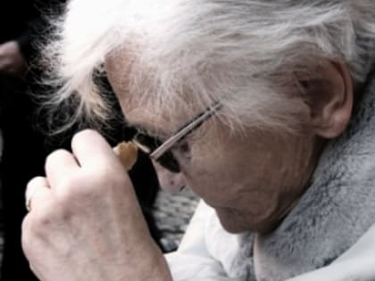 Досрочный выход на пенсию планируют разрешить еще одной категории россиян