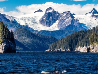 Крымский политик Гемпель: Статус Аляски стоило бы пересмотреть