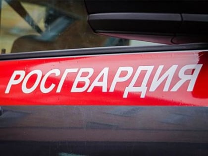 В Качуге росгвардейцы спасли двух отправившихся на поиски матери девочек