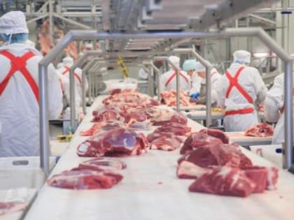 В Бурятии построят крупнейший в регионе межрегиональный аграрный комплекс