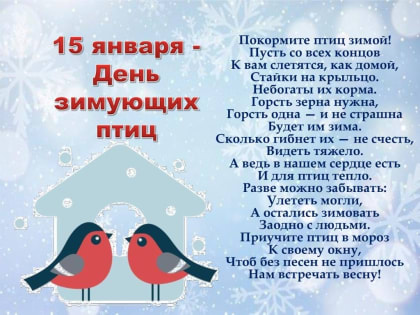 Крылатые друзья: заботимся вместе