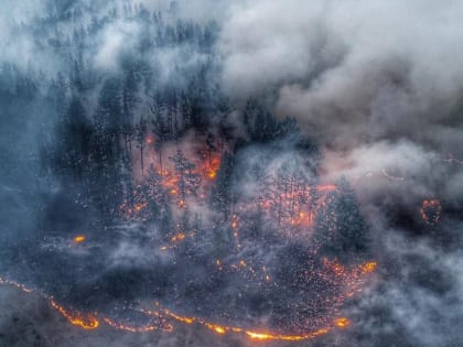 15 тысяч гектаров леса горело в Иркутской области утром 26 июня