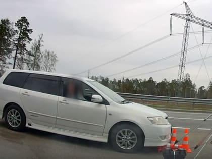 На трассе в Иркутской области возмущённый водитель сбил дорожную камеру