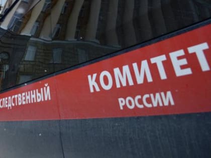Забайкалец убил и расчленил знакомого в новогодние праздники