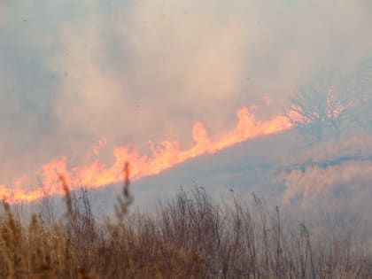 22 лесных пожара ликвидировали в Иркутской области за прошедшую неделю