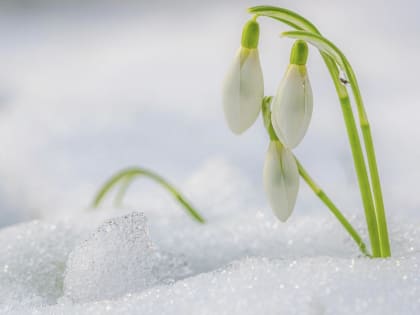 Весна в Приангарье наступит на 5-10 дней раньше обычного срока