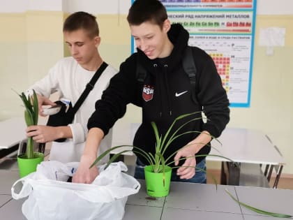 Экологическая акция «Подари цветку жизнь»