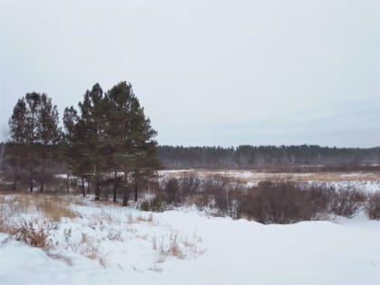 Режим повышенной готовности введут в Иркутской области в связи с неблагоприятными погодными условиями