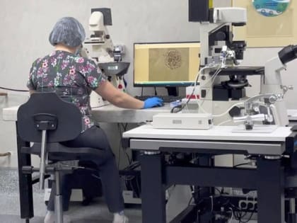 Бесплодным семьям в Иркутской области в прошлом году бесплатно провели 1100 процедур ЭКО