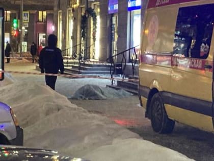 В Новосибирске упавшая с крыши девушка своим весом убила школьника