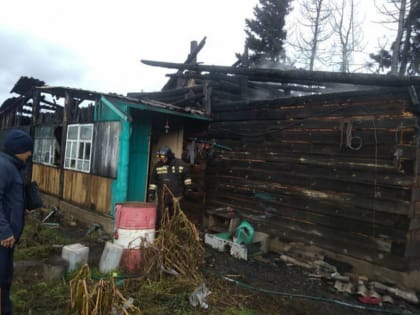 3-летние сестры-близняшки погибли на пожаре в Аларском районе