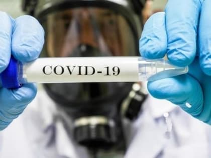 Новую разновидность коронавируса обнаружили в Бурятии