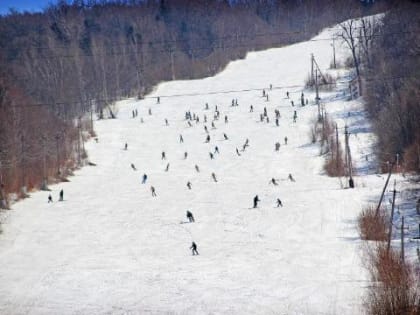 Ход строительства горнолыжного курорта в Арсеньеве обсудили в правительстве Приморья