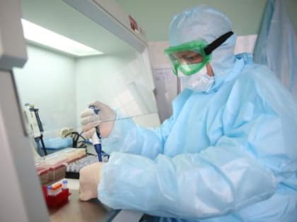 Число заболевших коронавирусом в Забайкалье за сутки опять превысило сто человек