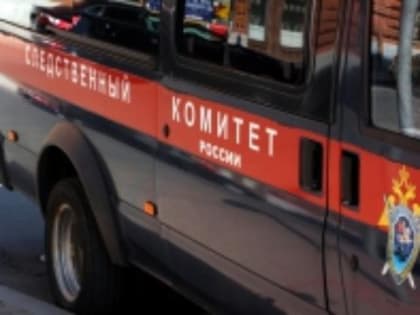 В Новосибирске у пенсионерки отобрали квартиру и натравили на нее собаку