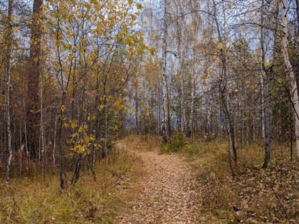 День 14 октября, понедельник