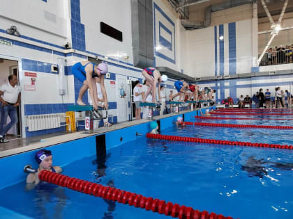 Соревнования по плаванию ко Дню учителя прошли в Иркутске