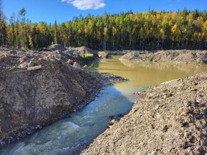 Нарушения в работе золотодобывающих компаний выявили в Красноярском крае