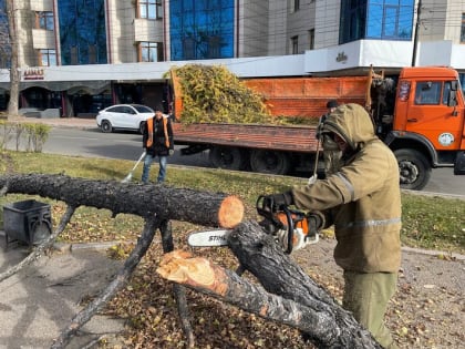 В Иркутске устраняют последствия сильного ветра