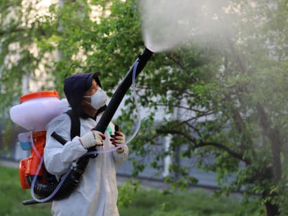 Собственники и УК должны защищать свои территории от горностаевой моли