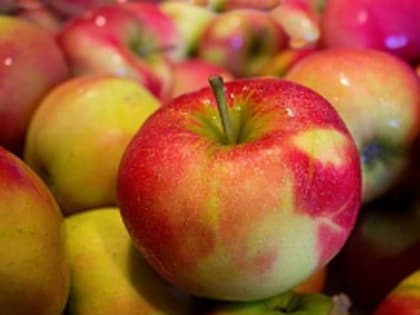 От рака до Паркинсона: россиянам перечислили болезни, которые могут предотвратить яблоки