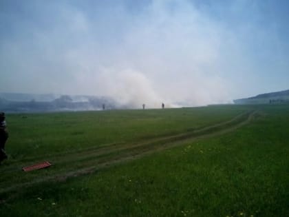 На территории Иркутской области горит лес на площади свыше 48 тысяч га