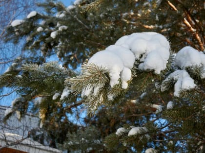 День 17 февраля, пятница