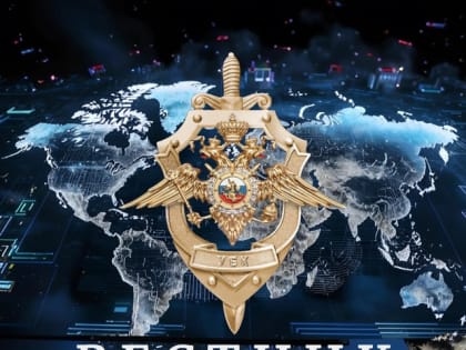 Полезные телеграмм-каналы