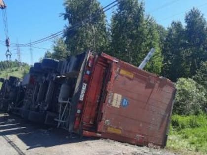В Красноярском крае перевернулся грузовик со свиньями